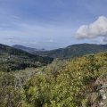 IMG_20241012_105233