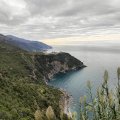 IMG_20241015_105537