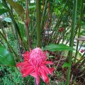 IMG_20240117_150418_DxO
