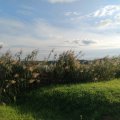 IMG_20240921_181108