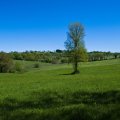 IMG_20240419_135455_DSCF2879