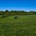 IMG_20240419_140338_DSCF2882