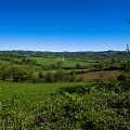 IMG_20240419_142321_DSCF2885