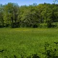 IMG_20240419_143351_DSCF2889