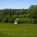 IMG_20240419_144022_DSCF2891