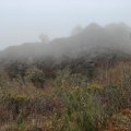 IMG_20241226_145002