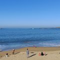 IMG_20241228_130130